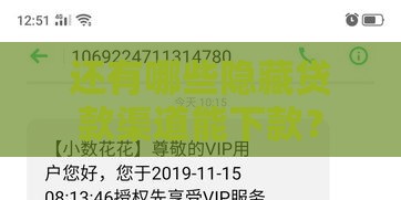 还有哪些隐藏贷款渠道能下款？