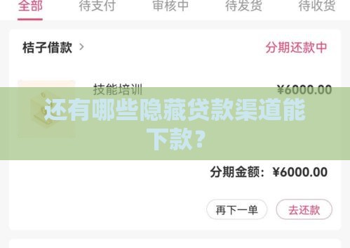 还有哪些隐藏贷款渠道能下款？