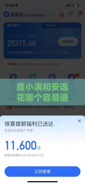 度小满和安逸花哪个容易通过？实测对比帮你避坑！