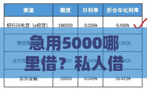 急用5000哪里借？私人借钱正规渠道推荐 当天到账攻略！