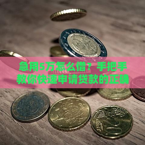 急用5万怎么借？手把手教你快速申请贷款的正确姿势！
