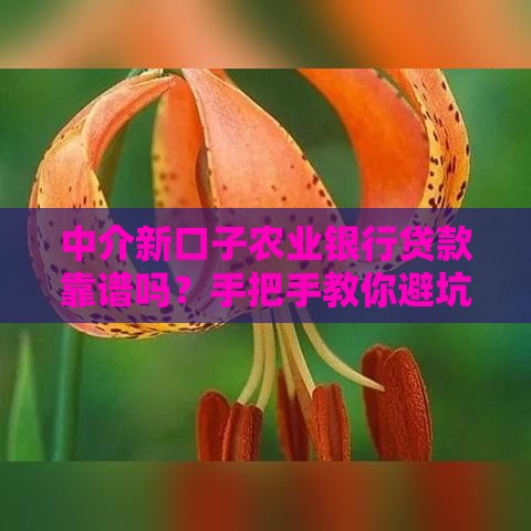 中介新口子农业银行贷款靠谱吗？手把手教你避坑攻略！