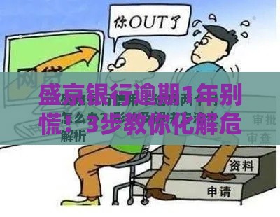 盛京银行逾期1年别慌！3步教你化解危机还能救信用