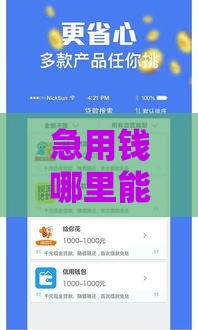 急用钱哪里能快速借款？5个低息贷款渠道实测