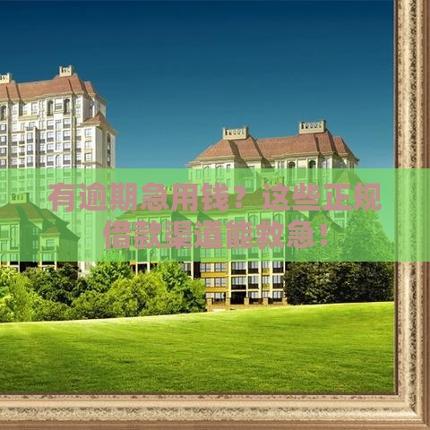 有逾期急用钱？这些正规借款渠道能救急！