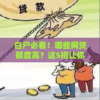 白户必看！哪些网贷额度高？这5招让你轻松突破低门槛