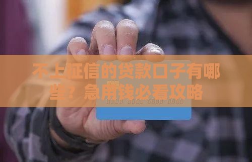 不上征信的贷款口子有哪些？急用钱必看攻略