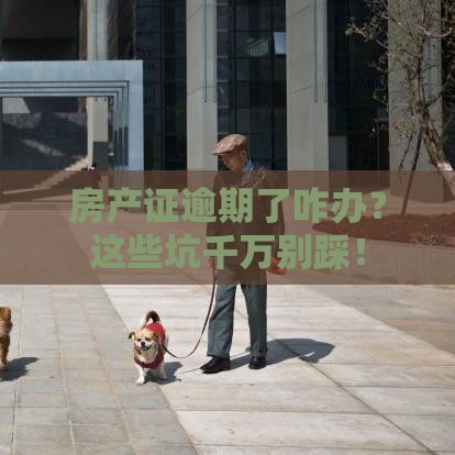 房产证逾期了咋办？这些坑千万别踩！