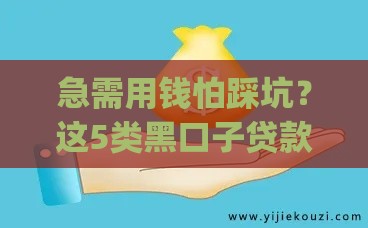 急需用钱怕踩坑？这5类黑口子贷款app千万别碰！