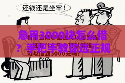 急用3000块怎么借？手把手教你选正规低门槛渠道