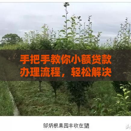 手把手教你小额贷款办理流程，轻松解决资金难题！