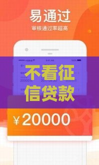不看征信贷款靠谱吗？黑白户快速下款攻略大揭秘！