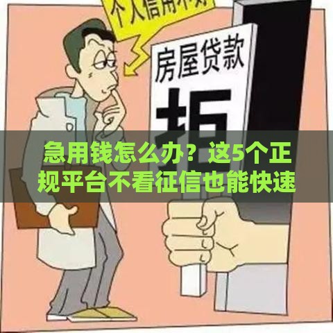 急用钱怎么办？这5个正规平台不看征信也能快速下款！