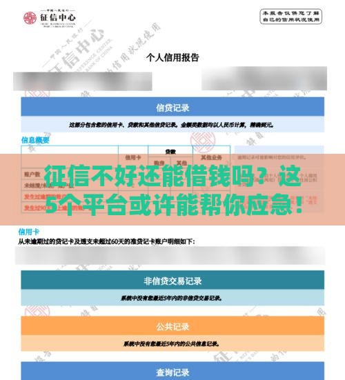 征信不好还能借钱吗？这5个平台或许能帮你应急！