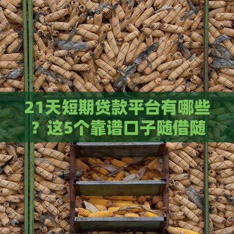 21天短期贷款平台有哪些？这5个靠谱口子随借随到！