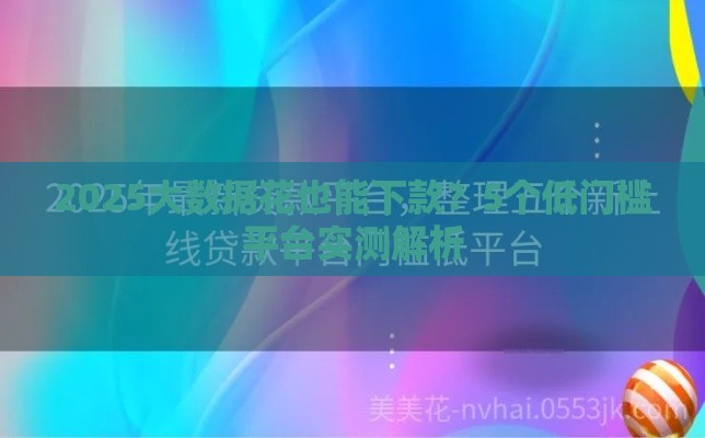 2025大数据花也能下款？5个低门槛平台实测解析