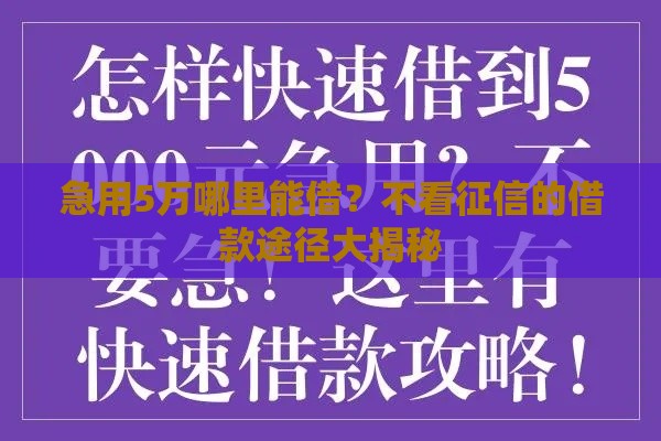 急用5万哪里能借？不看征信的借款途径大揭秘