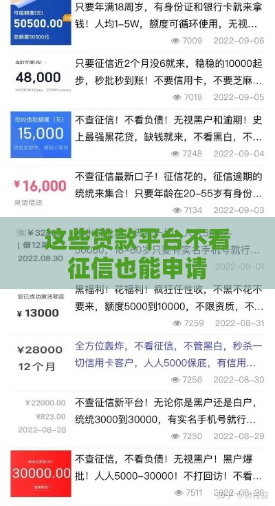 这些贷款平台不看征信也能申请