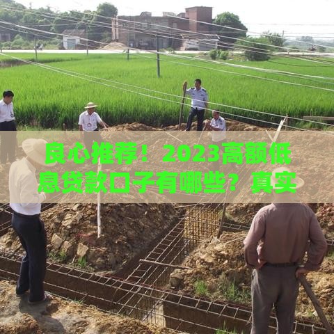 良心推荐！2023高额低息贷款口子有哪些？真实测评