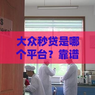 大众秒贷是哪个平台?靠谱口子解析+避坑指南 大众秒贷是哪个平台?靠谱口子解析+避坑指南