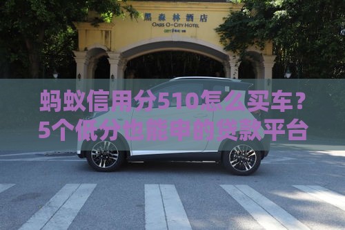 蚂蚁信用分510怎么买车？5个低分也能申的贷款平台推荐