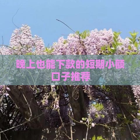 晚上也能下款的短期小额口子推荐