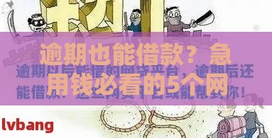 逾期也能借款？急用钱必看的5个网贷平台亲测！