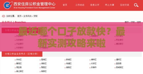 最近哪个口子放款快？最新实测攻略来啦
