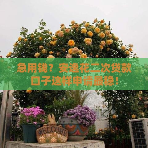 急用钱？安逸花二次贷款口子这样申请最稳！