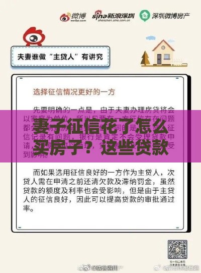 妻子征信花了怎么买房子？这些贷款方案或许能帮你圆梦