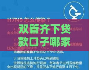 双管齐下贷款口子哪家强？这份攻略教你避坑选靠谱