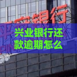 兴业银行还款逾期怎么办？3步教你快速解决难题