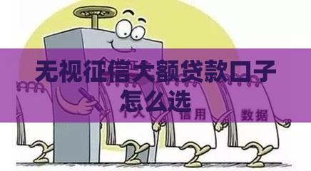 无视征信大额贷款口子怎么选