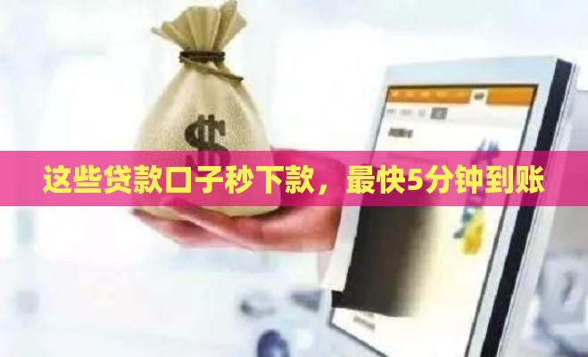 这些贷款口子秒下款，最快5分钟到账