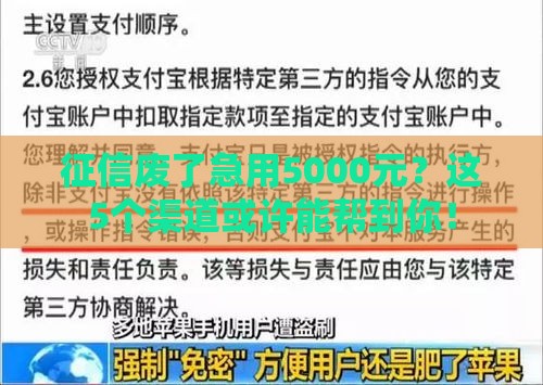征信废了急用5000元？这5个渠道或许能帮到你！