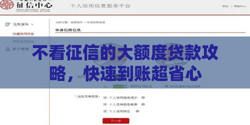 不看征信的大额度贷款攻略，快速到账超省心