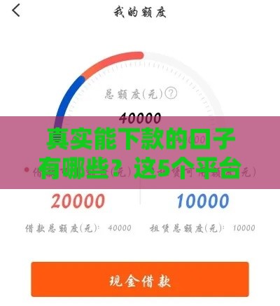 真实能下款的口子有哪些？这5个平台靠谱又实用！