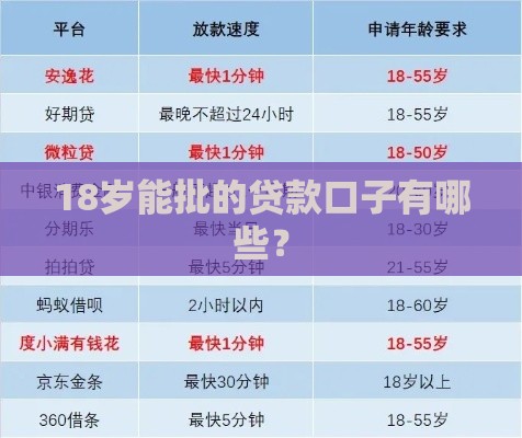 18岁能批的贷款口子有哪些? 18岁能批的贷款口子有哪些?