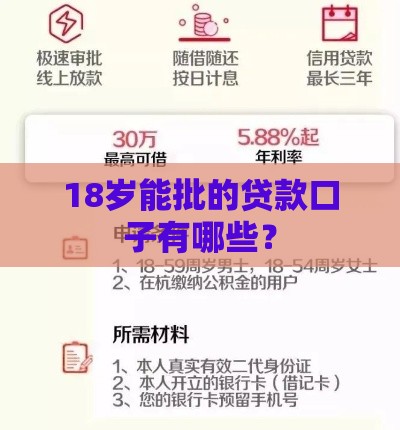 18岁能批的贷款口子有哪些? 18岁能批的贷款口子有哪些?