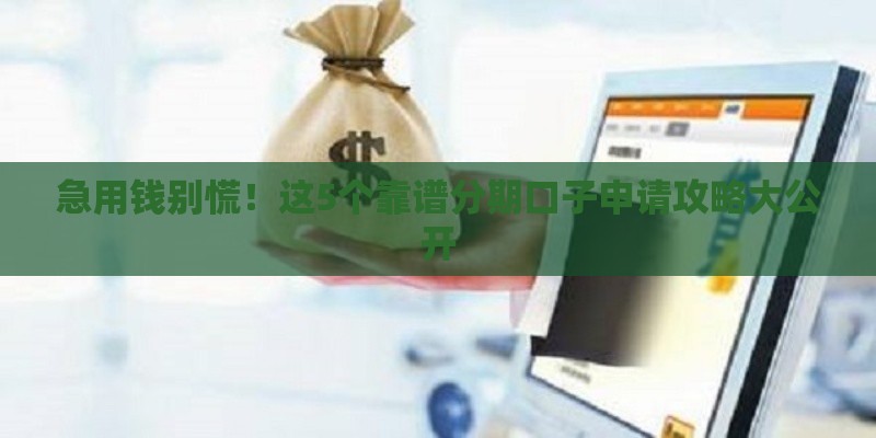急用钱别慌！这5个靠谱分期口子申请攻略大公开