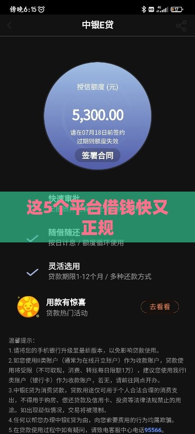 这5个平台借钱快又正规