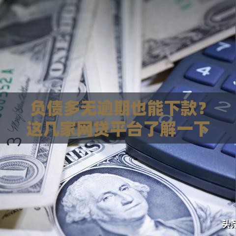 负债多无逾期也能下款？这几家网贷平台了解一下！