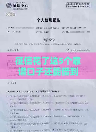 征信花了这5个靠谱口子还能借到