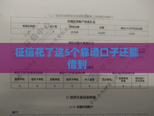 征信花了这5个靠谱口子还能借到