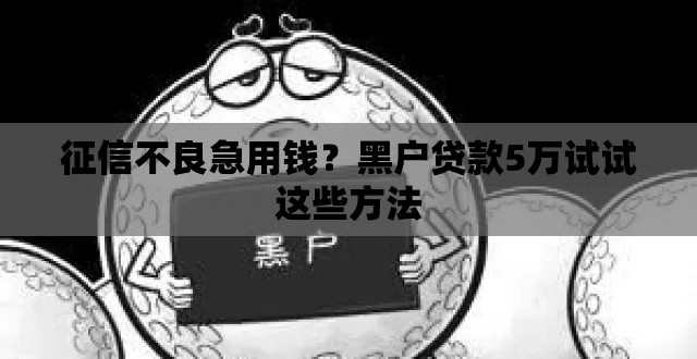 征信不良急用钱？黑户贷款5万试试这些方法