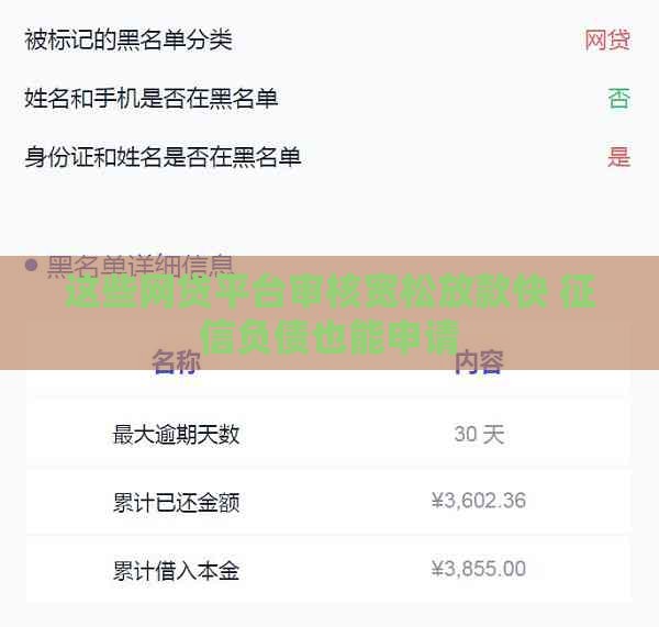 这些网贷平台审核宽松放款快 征信负债也能申请