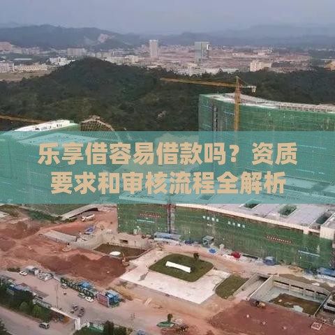 乐享借容易借款吗？资质要求和审核流程全解析