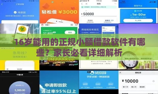 16岁能用的正规小额借款软件有哪些？家长必看详细解析
