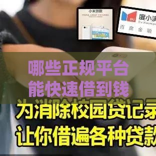 哪些正规平台能快速借到钱？安全靠谱推荐
