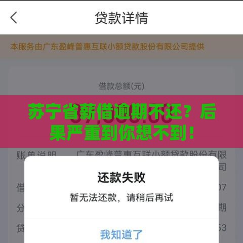 苏宁省薪借逾期不还？后果严重到你想不到！